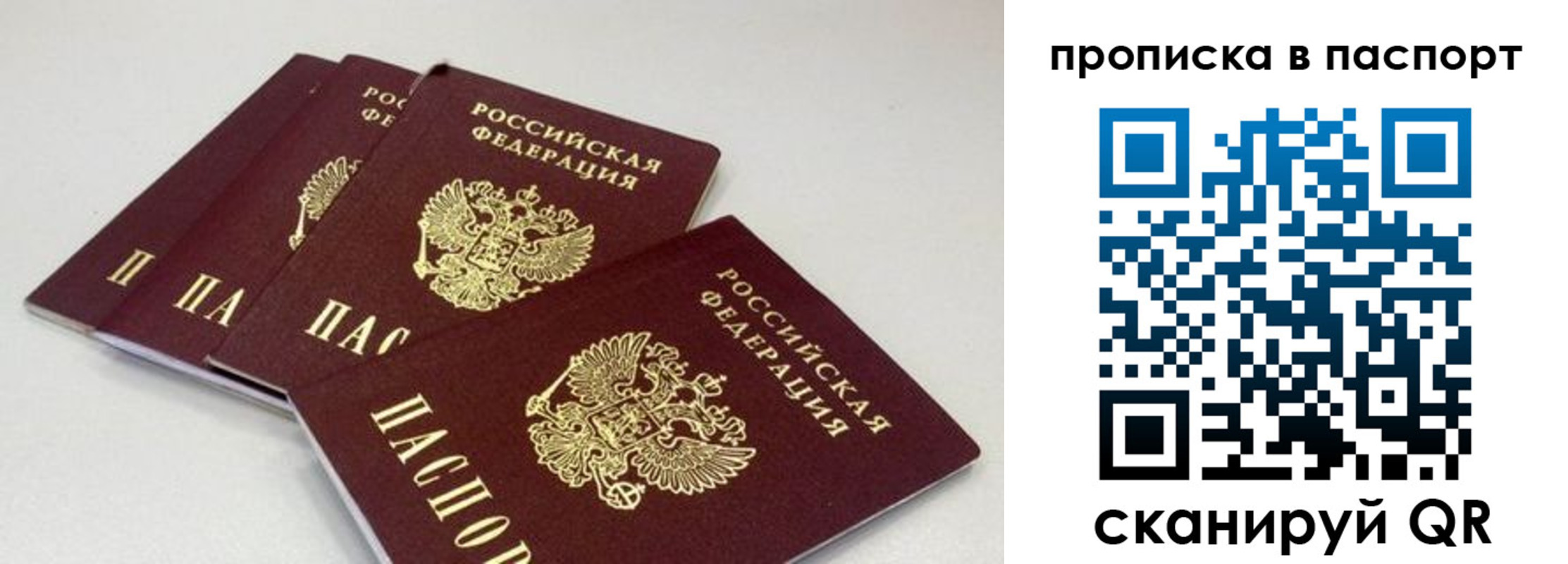 найти адрес прописки в Клинцах