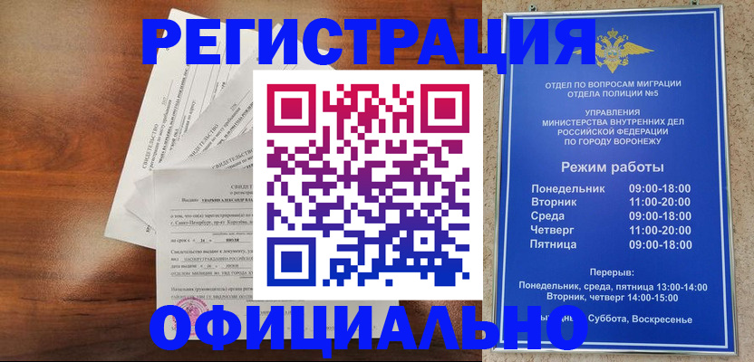 прописка поиск в Клинцах